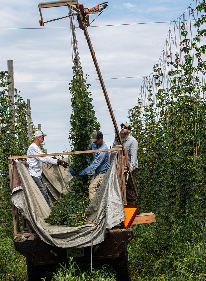Big Truck Farm Brewery