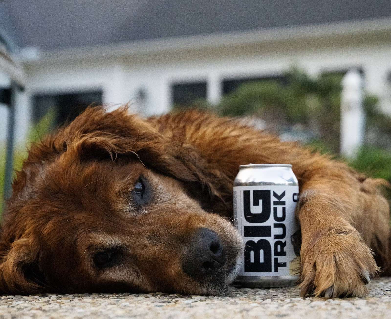 Big Truck Farm Brewery